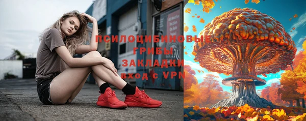 apvp Армянск