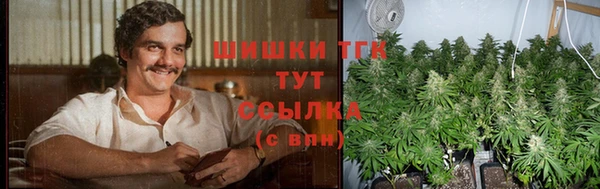 a pvp Алзамай