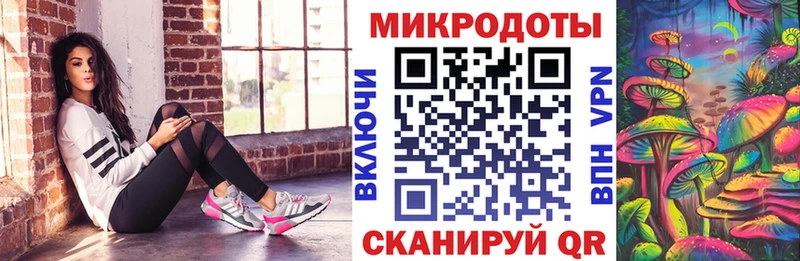 Галлюциногенные грибы Psilocybe  ссылка на мегу вход  Строитель 